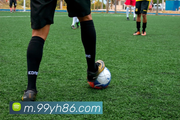 奖项证书